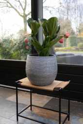 Antique Silver Evi Plant Pot Patterned Light Blue Indoor Planter - D19 cm