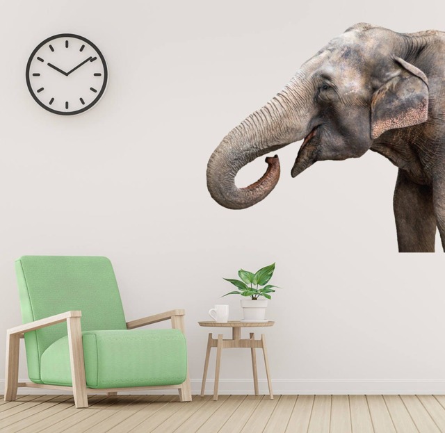 Elephant Wall Decal - Animals Africa Safari Art Face Vinyl Mural Decor