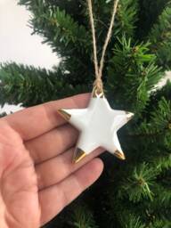 White Christmas Star With Gold Tips, Ornament