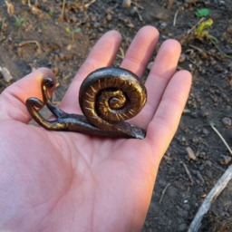 Metal Snail Forged Iron Gift For Her 6Th Anniversary Gift Sculpture Forged Wrought Iron Steel - thumbnail 4