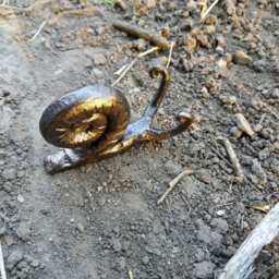 Metal Snail Forged Iron Gift For Her 6Th Anniversary Gift Sculpture Forged Wrought Iron Steel - thumbnail 2