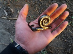 Metal Snail Forged Iron Gift For Her 6Th Anniversary Gift Sculpture Forged Wrought Iron Steel - thumbnail 1