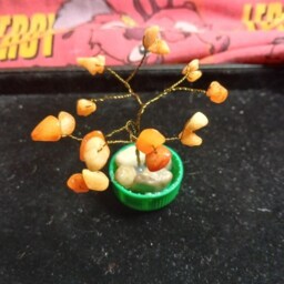Tree in A Cap - thumbnail 2