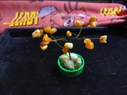Tree in A Cap - thumbnail 1