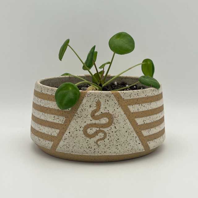 6 Inch Ceramic Snake Planter, Speckled Plant Pot With Drainage, Striped Handmade Container, Gift For Lovers, Mystic Home Decor - image 1