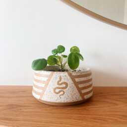 6 Inch Ceramic Snake Planter, Speckled Plant Pot With Drainage, Striped Handmade Container, Gift For Lovers, Mystic Home Decor - thumbnail 2