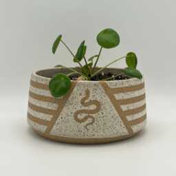 6 Inch Ceramic Snake Planter, Speckled Plant Pot With Drainage, Striped Handmade Container, Gift For Lovers, Mystic Home Decor - thumbnail 1