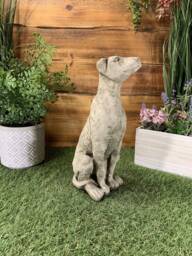 stone Garden Small Greyhound Whippet Dog Puppy Ornament - thumbnail 1
