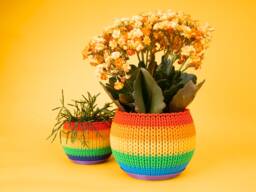 Rainbow Knit Planter Personalized Colors 4.5 Inch - thumbnail 1