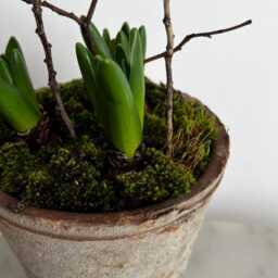 Rustic Terracotta Plant Pot With A Wall Hanging Belt For Farmhouse Style Kitchen - thumbnail 4