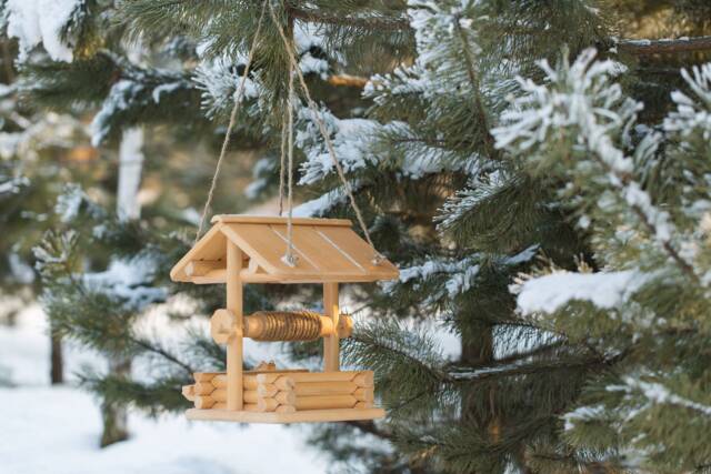 Twirl Squirrel Feeder, House, Home, Flying Squirrel Box, Wildlife, Bird Garden Gift, Handcrafted Art - image 1