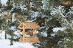 Twirl Squirrel Feeder, House, Home, Flying Squirrel Box, Wildlife, Bird Garden Gift, Handcrafted Art - thumbnail 1
