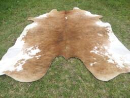Hereford Brown Large New Cowhide Rug Natural Hair On - 6x6 Ft Size Approx Tricolor Brown Tones Soft Carpet Cow Hide W-H B - thumbnail 1