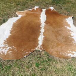 Hereford Brown Large New Cowhide Rug Natural Hair On - 6x6 Ft Size Approx Tricolor Brown Tones Soft Carpet Cow Hide W-H B - thumbnail 2