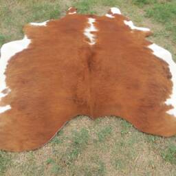 Hereford Brown Large New Cowhide Rug Natural Hair On - 6x6 Ft Size Approx Tricolor Brown Tones Soft Carpet Cow Hide W-H B - thumbnail 4