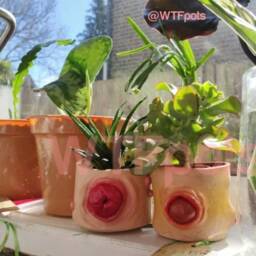 Prolapse Plant Pot Weird Creepy Home Decor - thumbnail 3