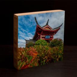 Chinese, Park, Flowers, Wall Art, Northwest, Pacific, Tacoma, Asian Living Room, Attraction, Architecture, Dragon, Blue Sky