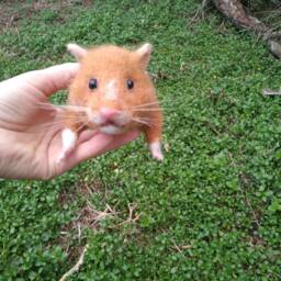 Custom Realistic Hamster Soft Pet Hamster Sculpture Needle Felted Animal Wool Figurine - thumbnail 2