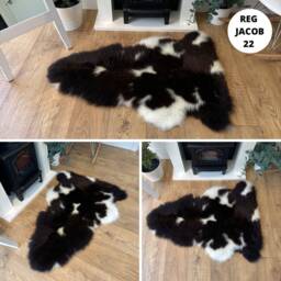 100% British Regular Jacob Undyed Rare Breed Sheepskin Rug - Reg 22 - thumbnail 2
