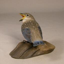 Baby Eastern Bluebird Carved Bird Basswood - thumbnail 3