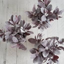Artificial Purple Lambs Ear Plant in Vintage Terracotta Pot Large Faux Planter - thumbnail 3