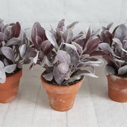 Artificial Purple Lambs Ear Plant in Vintage Terracotta Pot Large Faux Planter - thumbnail 2
