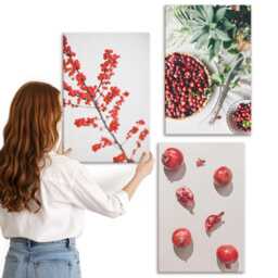 Canvas Wall Art Set Of 3 - Red Fruits & Plants in A Minimalist Style, Print On Canvas, Flowers Hanging Piece - thumbnail 2