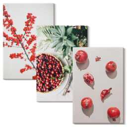 Canvas Wall Art Set Of 3 - Red Fruits & Plants in A Minimalist Style, Print On Canvas, Flowers Hanging Piece - thumbnail 1