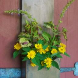 Primitive Country Wood Wall Box Distressed Mustard Finish - 22 - thumbnail 3