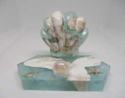 Seashell Business Card Holder- Beach D??cor - Phone Stand Soap Dish- Paperweight Concrete Gifts