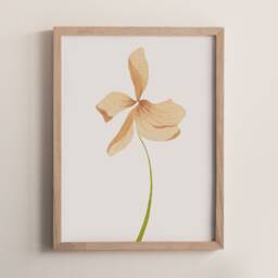 Flor Aurantiaco Print - thumbnail 2