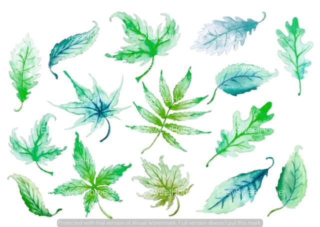 Leaf Decals Green 14-Set, Removable Wall Decals, Furniture Kitchen Decor, Bathroom Hand-Painted Leaves - image 1