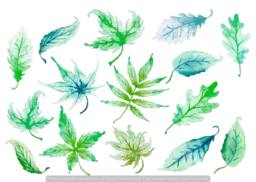 Leaf Decals Green 14-Set, Removable Wall Decals, Furniture Kitchen Decor, Bathroom Hand-Painted Leaves