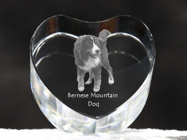 Bernese Mountain Dog, Crystal Heart With Dog, Souvenir, Decoration, Limited Edition, Collection - image 1