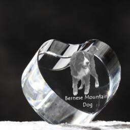 Bernese Mountain Dog, Crystal Heart With Dog, Souvenir, Decoration, Limited Edition, Collection - thumbnail 3