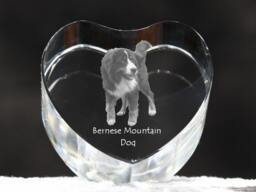Bernese Mountain Dog, Crystal Heart With Dog, Souvenir, Decoration, Limited Edition, Collection - thumbnail 1