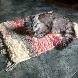 Handwoven Wool Rug, Pink Fireside Mat, Pet Bed - thumbnail 4
