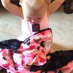 "Robert Kauffman's Pink Ballerina & Black Minky Baby Blanket ""Dulce De Chloe" - thumbnail 2