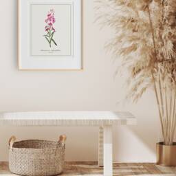 Fireweed Print - Printed & Shipped Illustration Floral Watercolour Home Decor - thumbnail 3