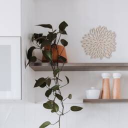 Unfinished Wooden Flower Cutout Mdf Wall Art Decor - thumbnail 4