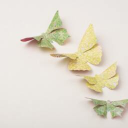 3D Wall Butterflies Butterfly Art For Nursery, Girl's Room, Or Home Decor in Spring Green & Citrus Dots - thumbnail 2