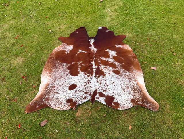 Genuine Tricolor Brazilian Hair On Cowhide Rug, Cow Hide Rug - image 1