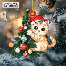 Custom Name Cute Cat Christmas Personalized Ornament, Tree Hanging Decor, Flat 2D Ornament Acrylic/ Wooden, Gift For Lover