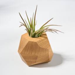 Set Of 4 White Oak Geometric Air Plant Holder - thumbnail 2