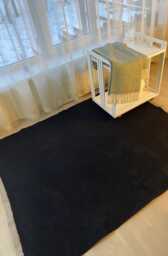 Black Scandinavian Rug Soft Accent Floor Rug - thumbnail 1