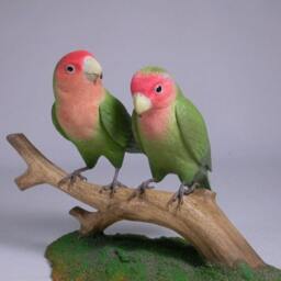 Pair Of Peach-Faced Lovebird No.1 Hand Carved Wooden Bird - thumbnail 3