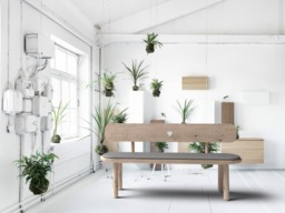 Andrea Bench