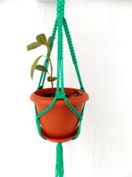 Green Macrame Mini Plant Hanger Hanging Planter 20 Inches 3mm Wall Hanging Flower Pot Gift Idea Indoor Or Outdoor Decor Planter Pattern - thumbnail 1