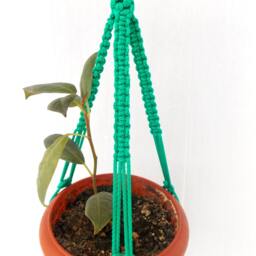 Green Macrame Mini Plant Hanger Hanging Planter 20 Inches 3mm Wall Hanging Flower Pot Gift Idea Indoor Or Outdoor Decor Planter Pattern - thumbnail 3