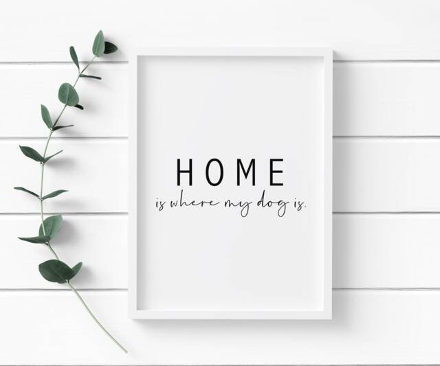 Home Is Where My Dog - Personalisation Available Printed Onto Thick 240Gsm Premium Finish Paper - A4 & A3 Sizes Available - image 1